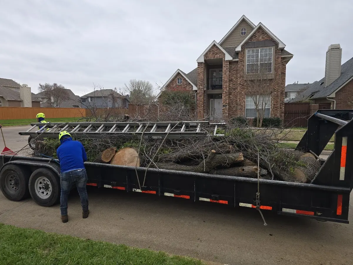 Expert Crown Reduction with proper safety equipment in Eastlake Weir